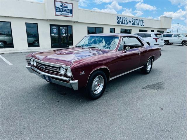 1967 Chevrolet Chevelle (CC-2081801) for sale in Largo, Florida