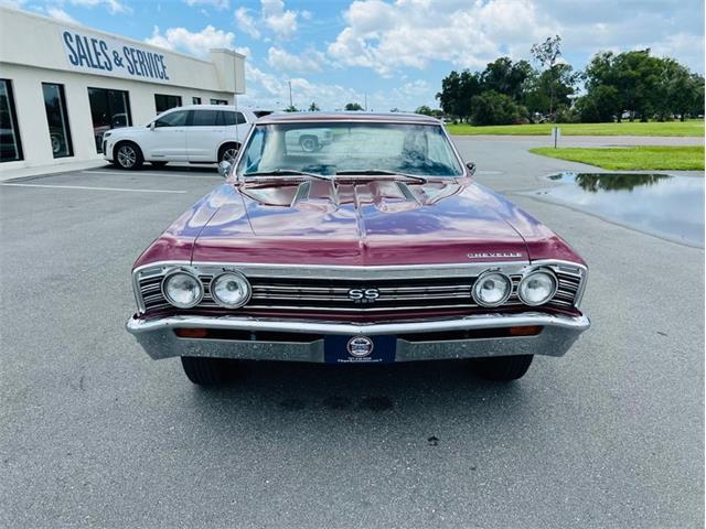 1967 Chevrolet Chevelle (CC-2081801) for sale in Largo, Florida