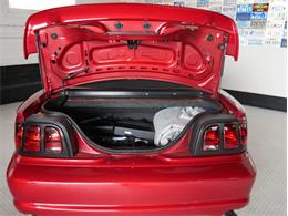 1995 Ford Saleen Mustang (CC-2081828) for sale in Reno, Nevada
