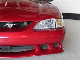 1995 Ford Saleen Mustang (CC-2081828) for sale in Reno, Nevada