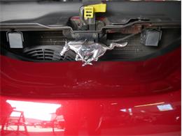 1995 Ford Saleen Mustang (CC-2081828) for sale in Reno, Nevada