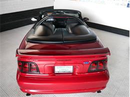 1995 Ford Saleen Mustang (CC-2081828) for sale in Reno, Nevada