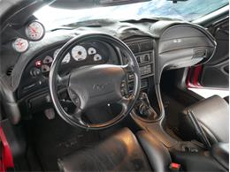 1995 Ford Saleen Mustang (CC-2081828) for sale in Reno, Nevada