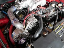 1995 Ford Saleen Mustang (CC-2081828) for sale in Reno, Nevada