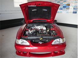 1995 Ford Saleen Mustang (CC-2081828) for sale in Reno, Nevada