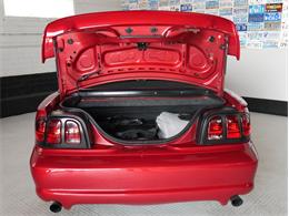 1995 Ford Saleen Mustang (CC-2081828) for sale in Reno, Nevada