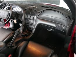 1995 Ford Saleen Mustang (CC-2081828) for sale in Reno, Nevada