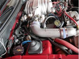 1995 Ford Saleen Mustang (CC-2081828) for sale in Reno, Nevada