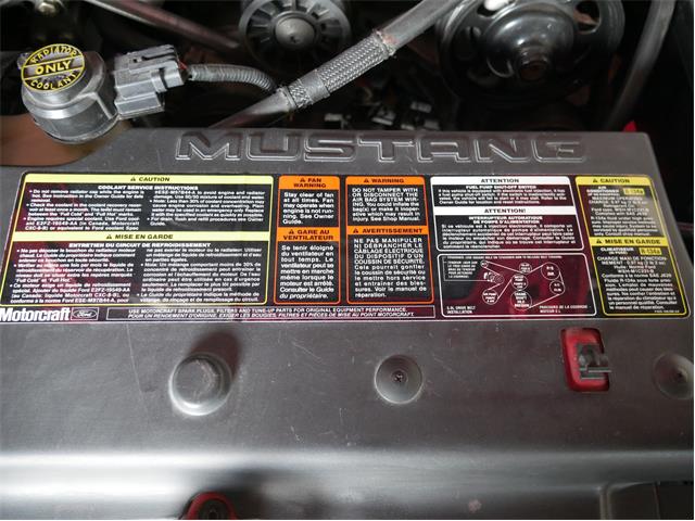 1995 Ford Saleen Mustang (CC-2081828) for sale in Reno, Nevada