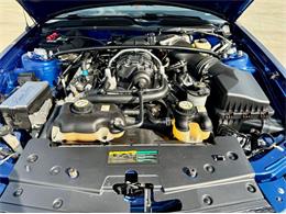 2007 Ford Shelby GT500  (CC-2081855) for sale in Gordonsville, Tennessee