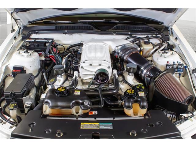 2008 Ford Shelby GT500  (CC-2081870) for sale in Rockville, Maryland