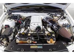 2008 Ford Shelby GT500  (CC-2081870) for sale in Rockville, Maryland