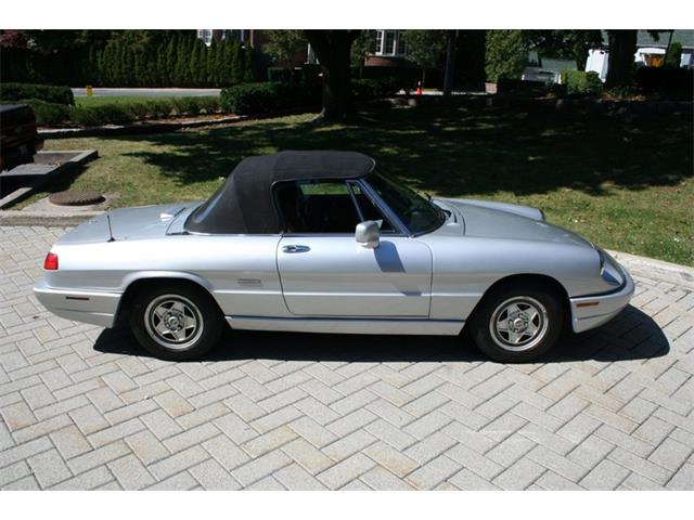 1991 Alfa Romeo Spider Veloce (CC-2081895) for sale in Dripping Springs, Texas