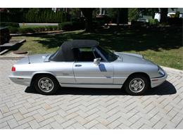 1991 Alfa Romeo Spider Veloce (CC-2081895) for sale in Dripping Springs, Texas