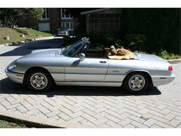 1991 Alfa Romeo Spider Veloce (CC-2081895) for sale in Dripping Springs, Texas