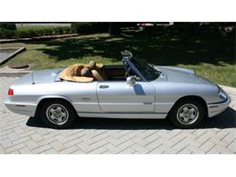 1991 Alfa Romeo Spider Veloce (CC-2081895) for sale in Dripping Springs, Texas