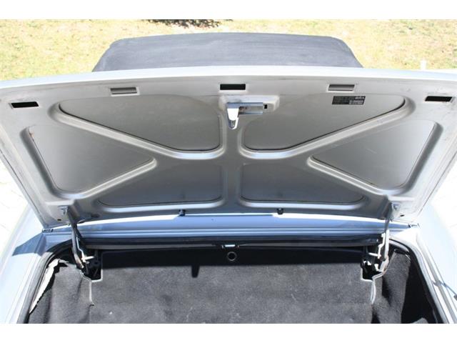 1991 Alfa Romeo Spider Veloce (CC-2081895) for sale in Dripping Springs, Texas