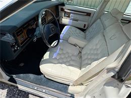 1984 Cadillac Seville (CC-2080191) for sale in Nashville, Illinois