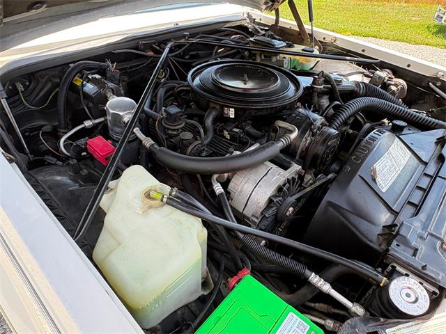 1984 Cadillac Seville (CC-2080191) for sale in Nashville, Illinois
