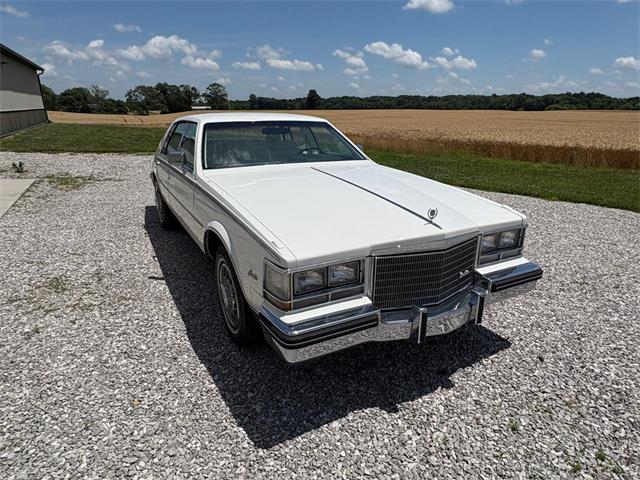 1984 Cadillac Seville (CC-2080191) for sale in Nashville, Illinois