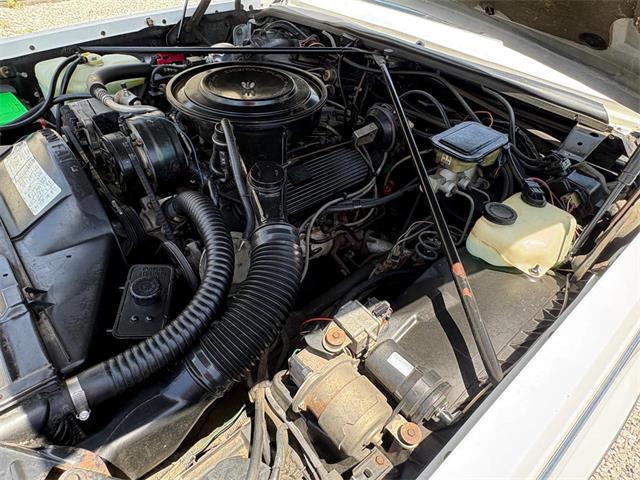 1984 Cadillac Seville (CC-2080191) for sale in Nashville, Illinois