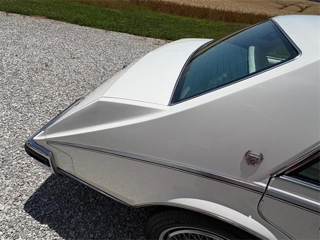 1984 Cadillac Seville (CC-2080191) for sale in Nashville, Illinois