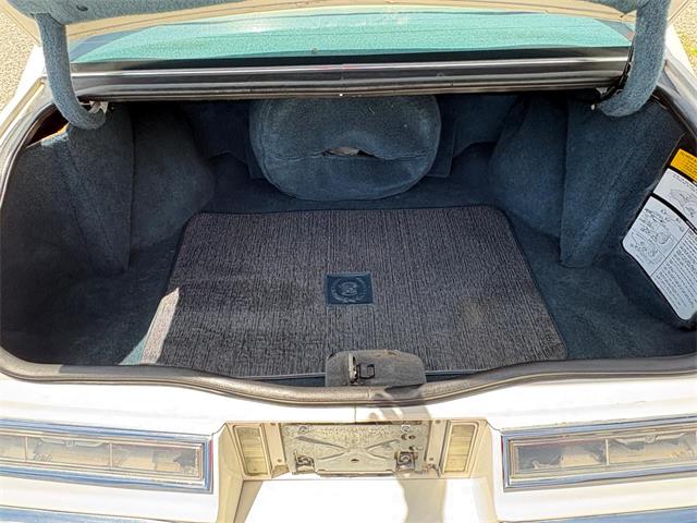 1984 Cadillac Seville (CC-2080191) for sale in Nashville, Illinois