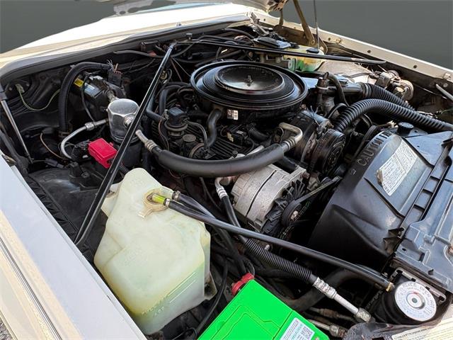 1984 Cadillac Seville (CC-2080191) for sale in Nashville, Illinois