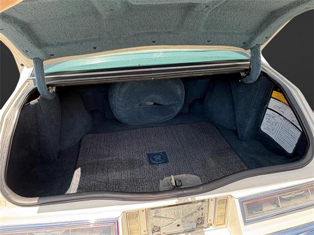 1984 Cadillac Seville (CC-2080191) for sale in Nashville, Illinois