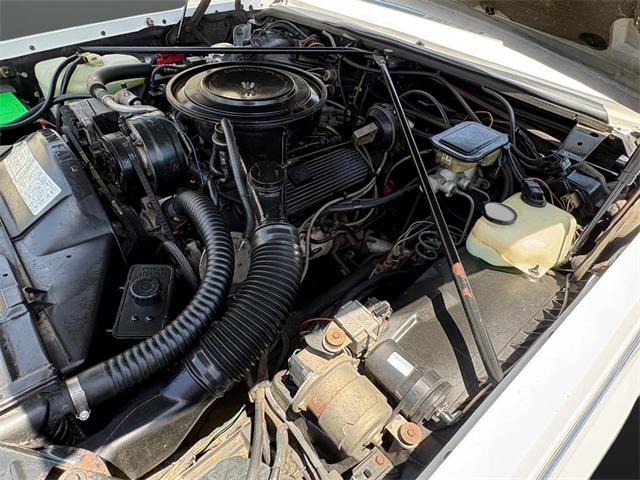 1984 Cadillac Seville (CC-2080191) for sale in Nashville, Illinois