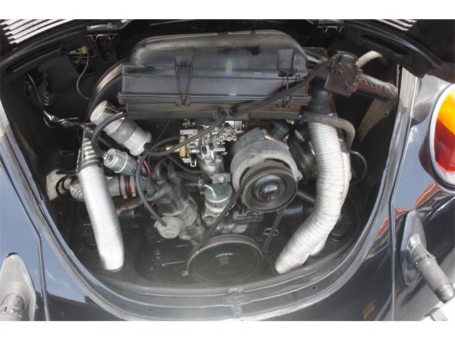 1974 Volkswagen Beetle (CC-2081913) for sale in Lantana, Florida