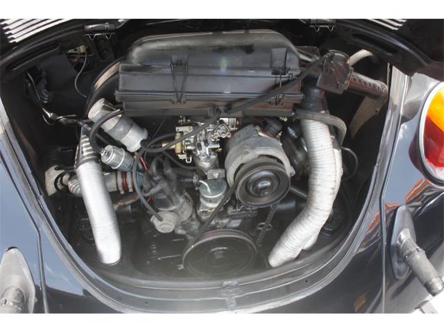1974 Volkswagen Beetle (CC-2081913) for sale in Lantana, Florida