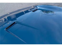 1972 Ferrari 365 GTC/4 (CC-2081923) for sale in Ft. Lauderdale, Florida