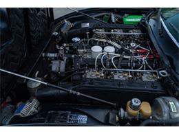 1972 Ferrari 365 GTC/4 (CC-2081923) for sale in Ft. Lauderdale, Florida