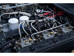 1972 Ferrari 365 GTC/4 (CC-2081923) for sale in Ft. Lauderdale, Florida
