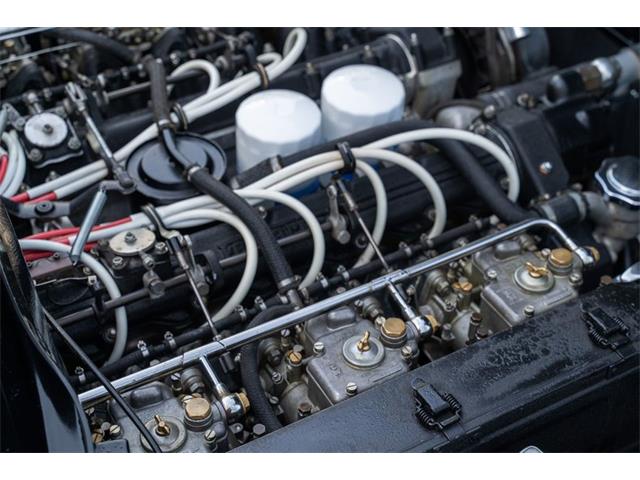 1972 Ferrari 365 GTC/4 (CC-2081923) for sale in Ft. Lauderdale, Florida