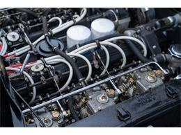 1972 Ferrari 365 GTC/4 (CC-2081923) for sale in Ft. Lauderdale, Florida
