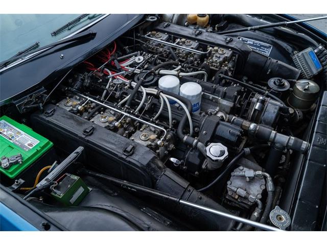 1972 Ferrari 365 GTC/4 (CC-2081923) for sale in Ft. Lauderdale, Florida