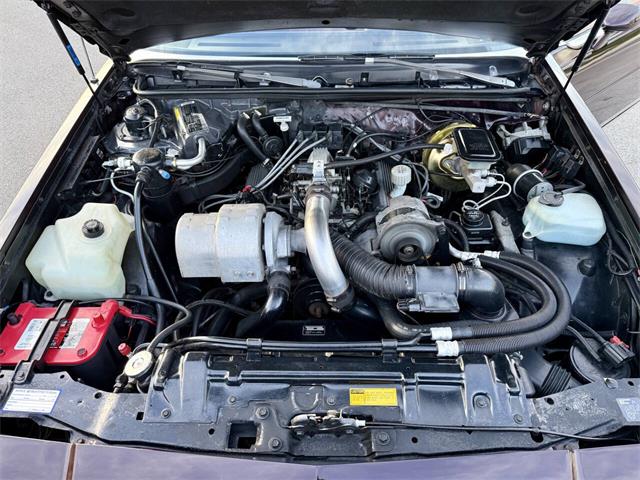 1987 Buick Regal (CC-2081926) for sale in Arlington Heights, Illinois