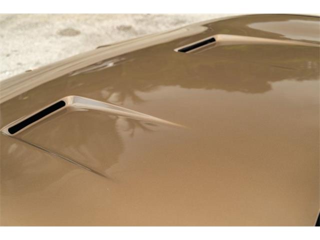 1972 Ferrari 365 GTC/4 (CC-2081929) for sale in Ft. Lauderdale, Florida