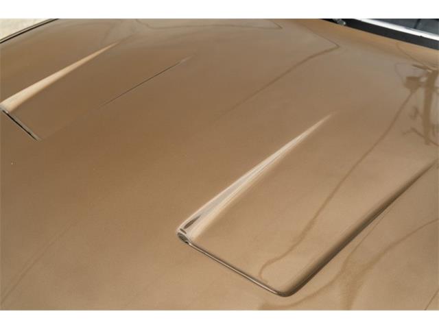 1972 Ferrari 365 GTC/4 (CC-2081929) for sale in Ft. Lauderdale, Florida