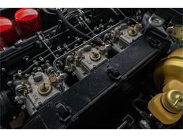 1972 Ferrari 365 GTC/4 (CC-2081929) for sale in Ft. Lauderdale, Florida