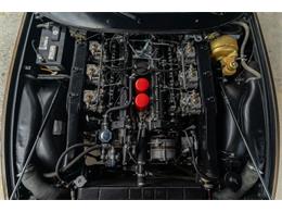 1972 Ferrari 365 GTC/4 (CC-2081929) for sale in Ft. Lauderdale, Florida