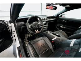 2022 Ford Shelby GT500  (CC-2081950) for sale in Rowley, Massachusetts