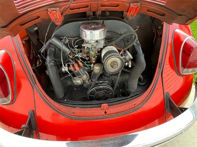 1971 Volkswagen Beetle Convertible (CC-2081967) for sale in Westford, Massachusetts