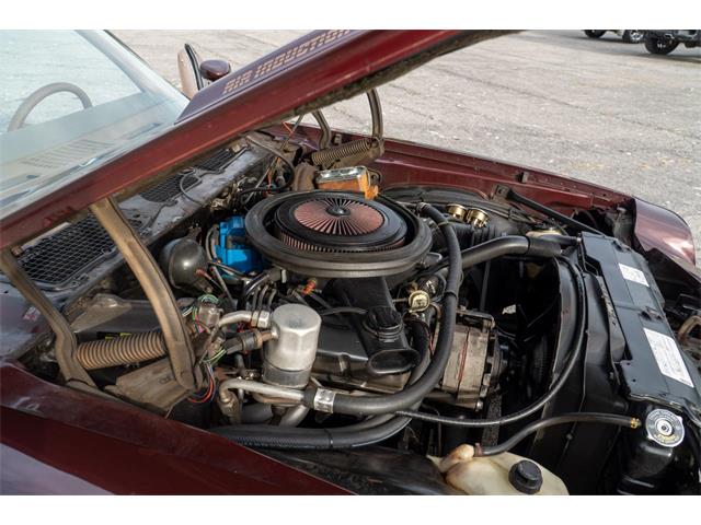 1980 Chevrolet Camaro (CC-2081973) for sale in Buffalo, New York