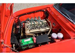 1965 Alfa Romeo Giulia (CC-2081975) for sale in Jacksonville, Florida