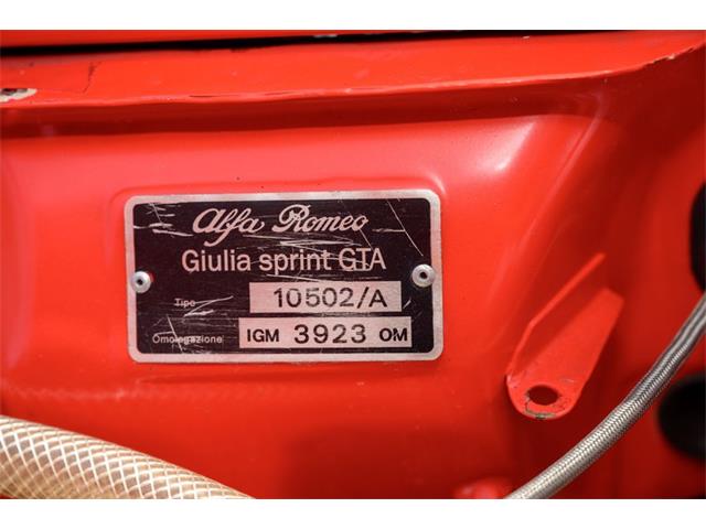 1965 Alfa Romeo Giulia (CC-2081975) for sale in Jacksonville, Florida
