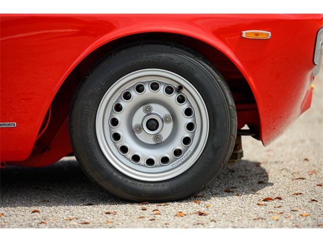 1965 Alfa Romeo Giulia (CC-2081975) for sale in Jacksonville, Florida