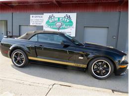 2007 Ford Mustang Shelby (CC-2081988) for sale in Dayton, Ohio
